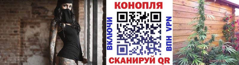 Каннабис сатива  KRAKEN зеркало  Кинешма 